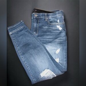 Torrid Premium Light Blue Denim Jeans